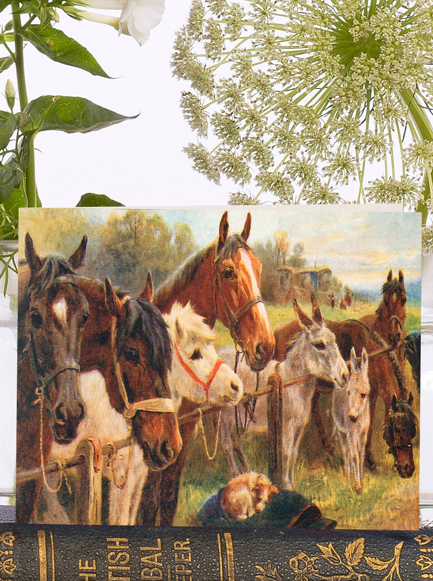 Horse Lovers Vintage Little Greeting Card