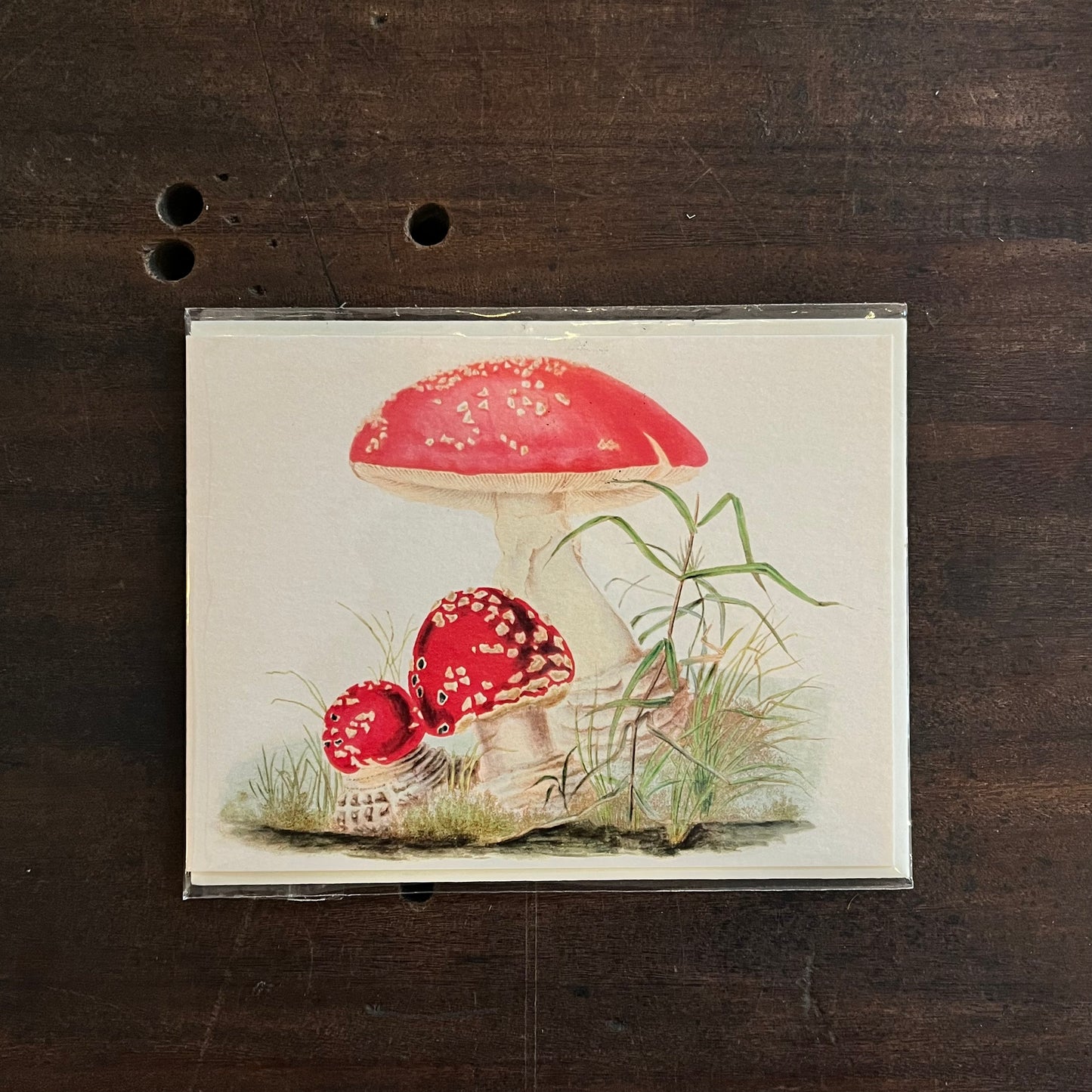 Woodland Mushroom Little Greetings Card