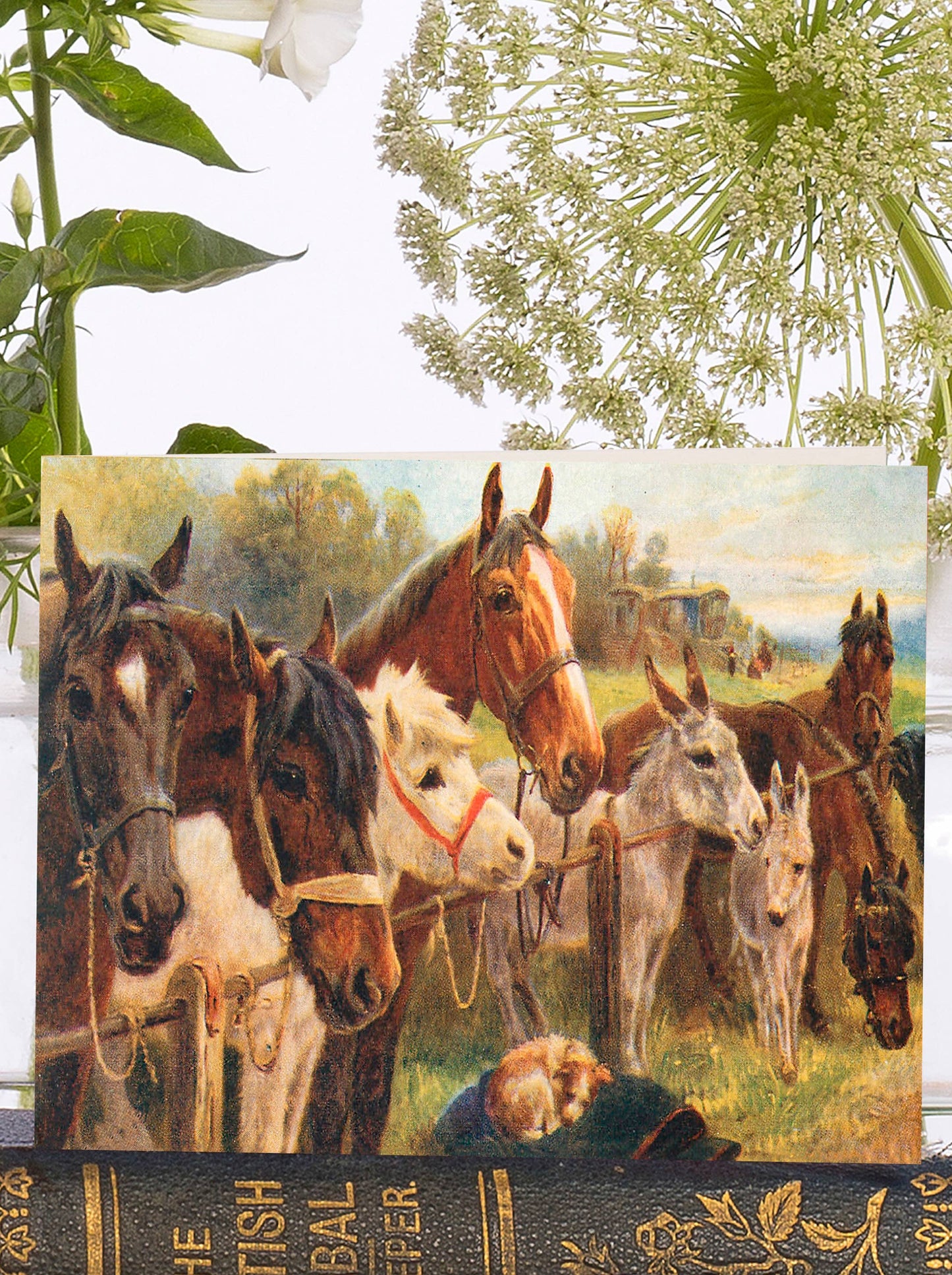 Horse Lovers Vintage  Greeting Card