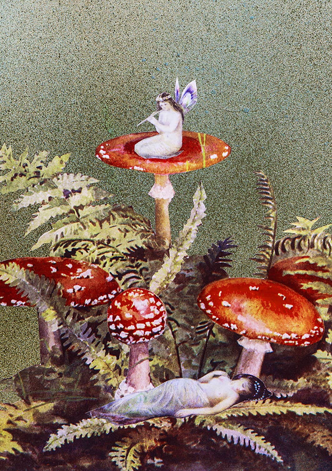 Toadstools Greetings Card