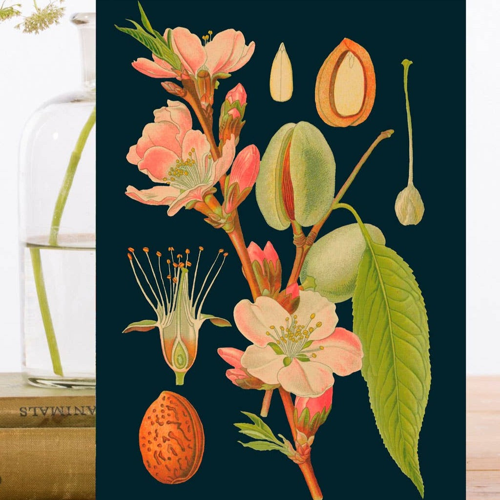 Botanical Greetings Card