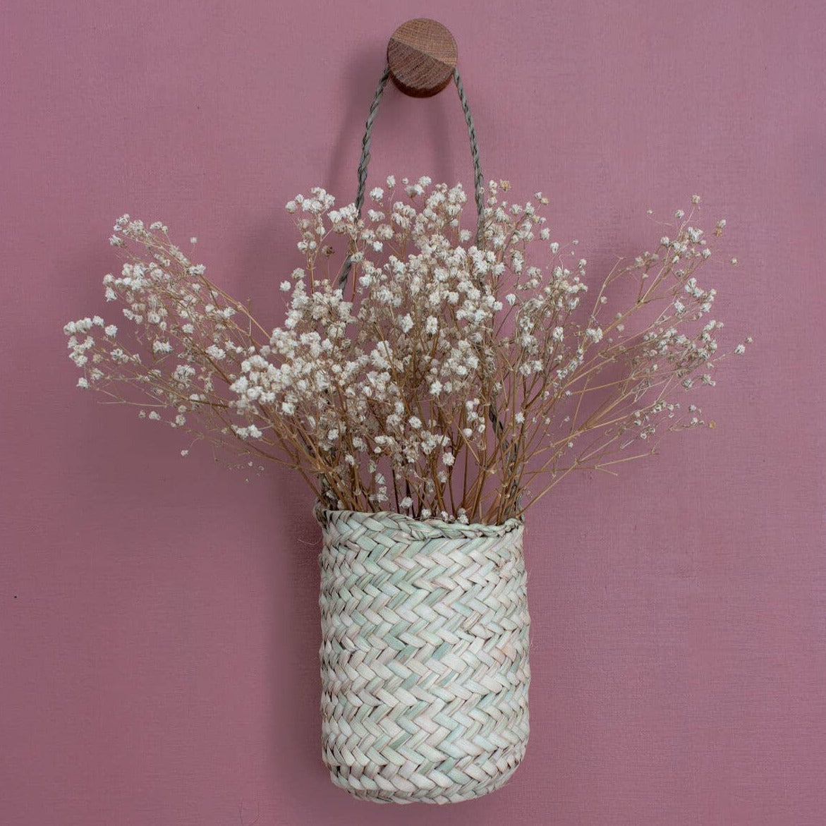 Mini Hanging Basket Planter