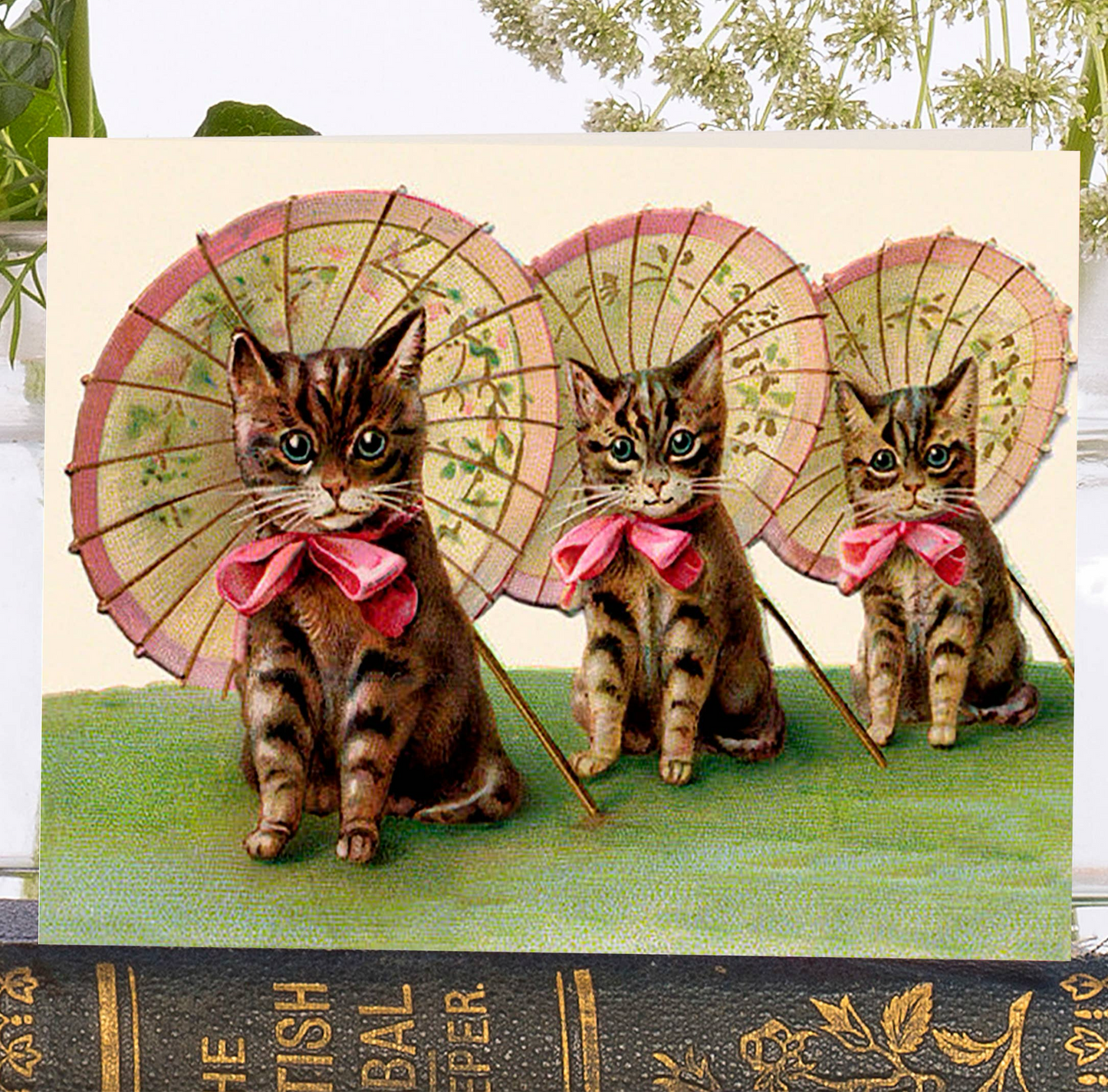 Three Kittens Little Vintage Greeting Card