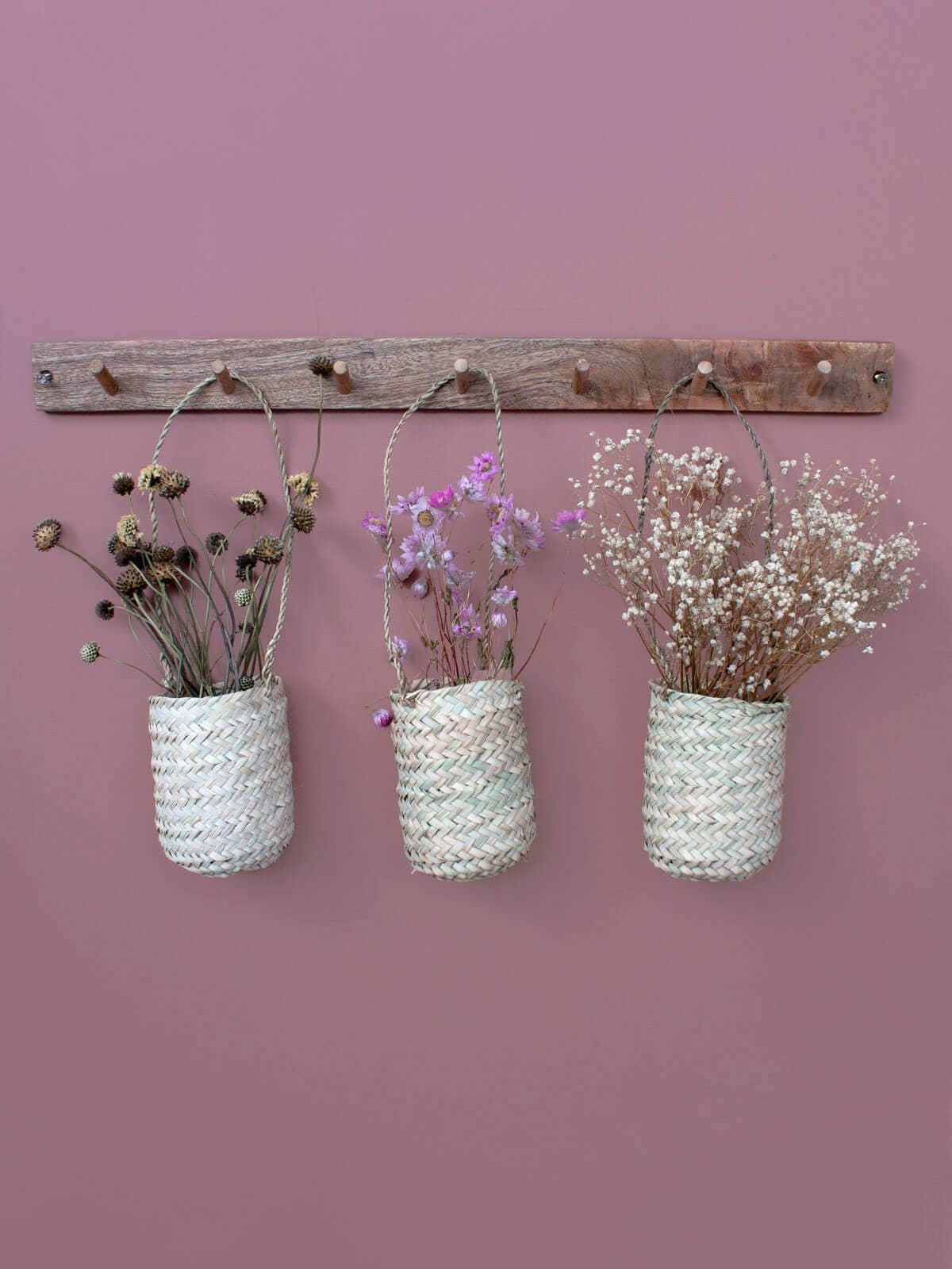 Mini Hanging Basket Planter