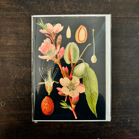 Midnight Botanical Greetings Card