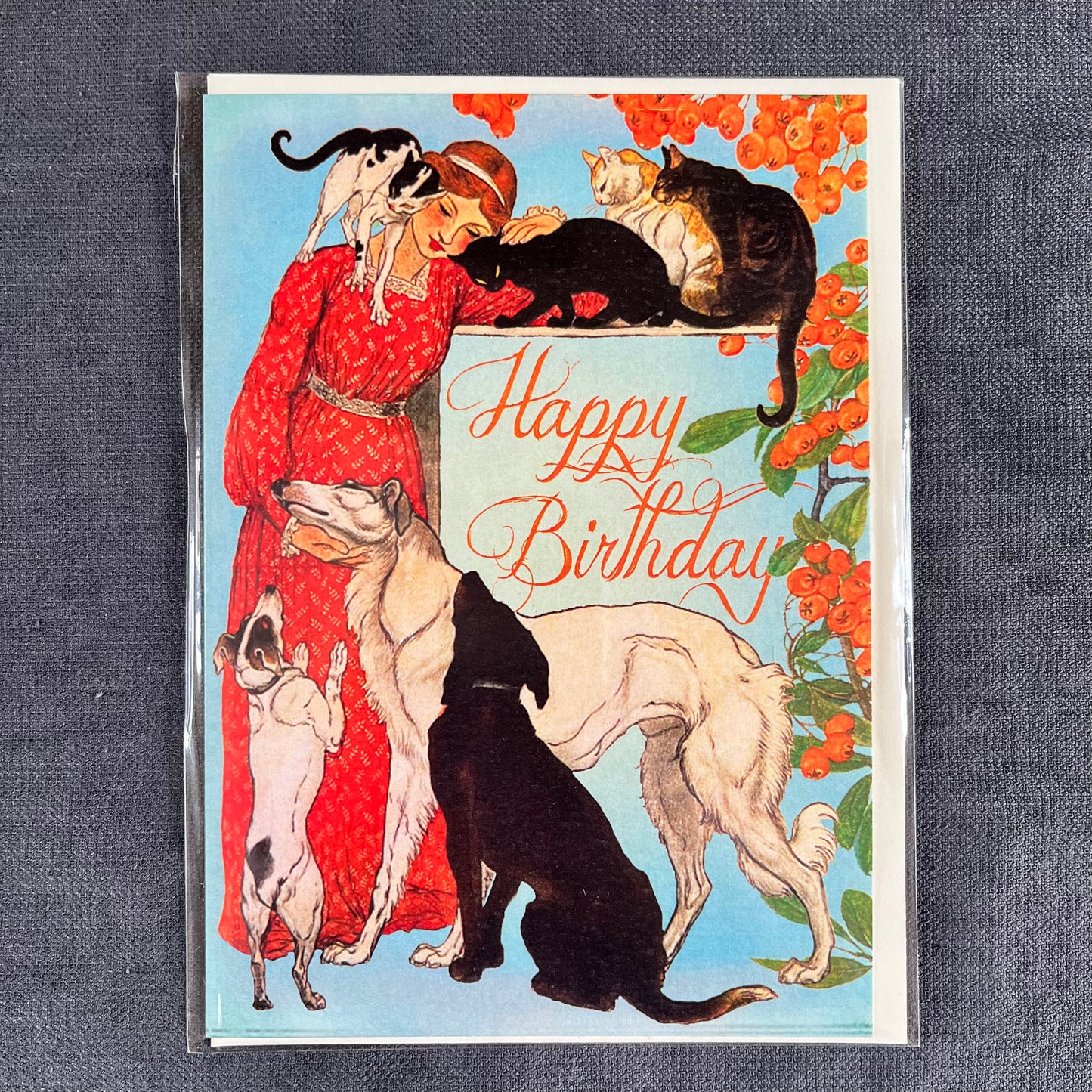 Dogs & Cats Birthday Card