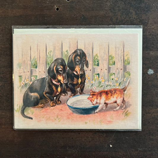 Little Cat & Dogs Greetings Card