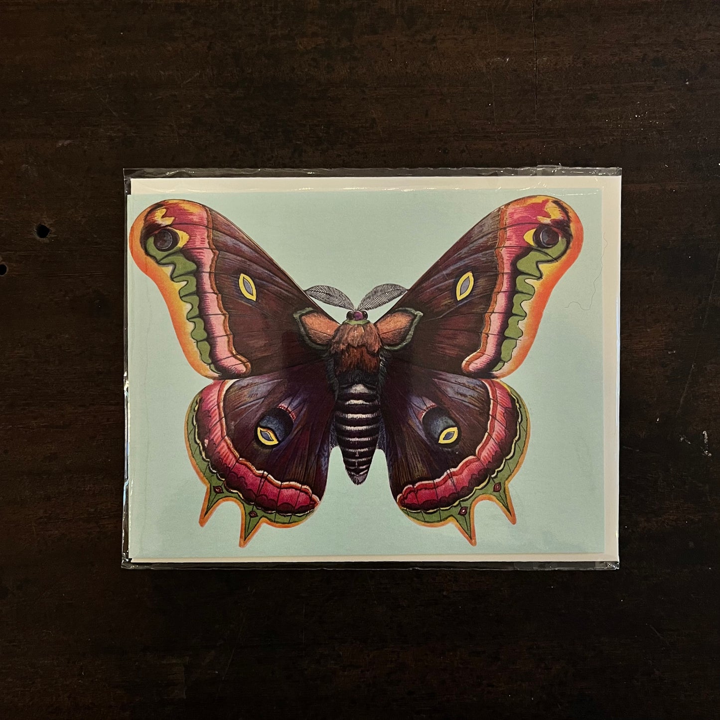 Beautiful Moth Little Greetings Card