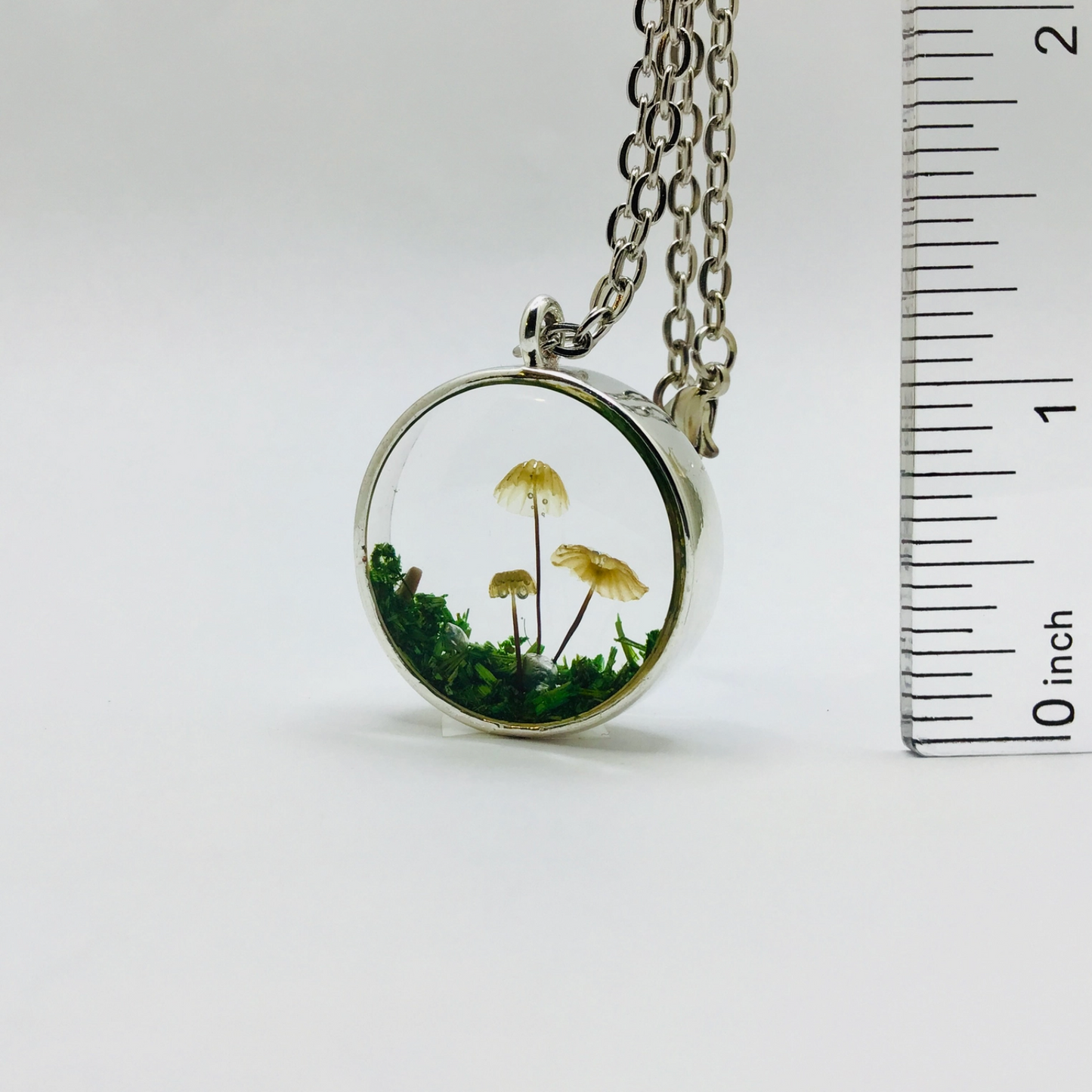 Preserved Fungi Curio Pendant Necklace