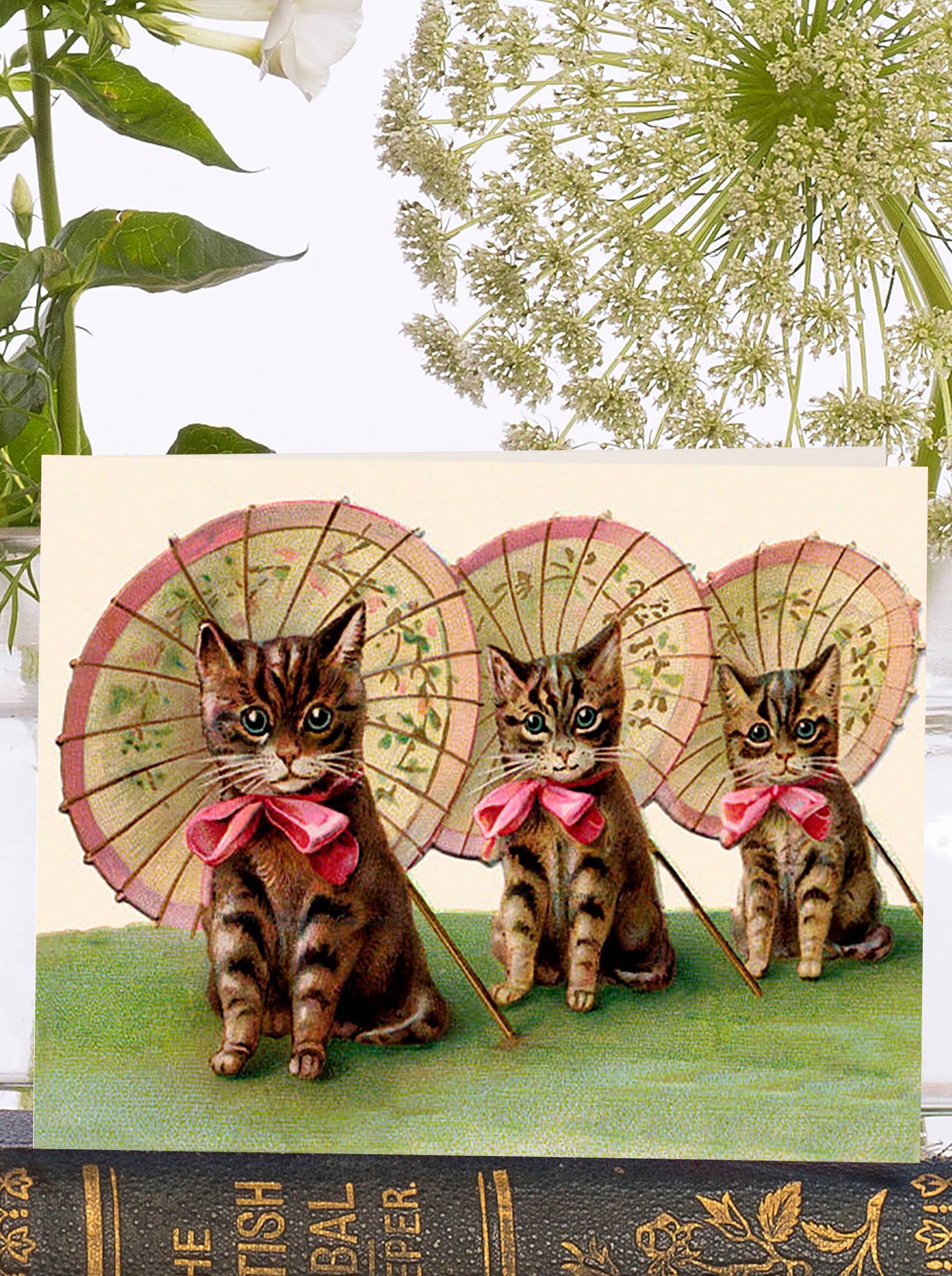 Three Kittens Little Vintage Greeting Card