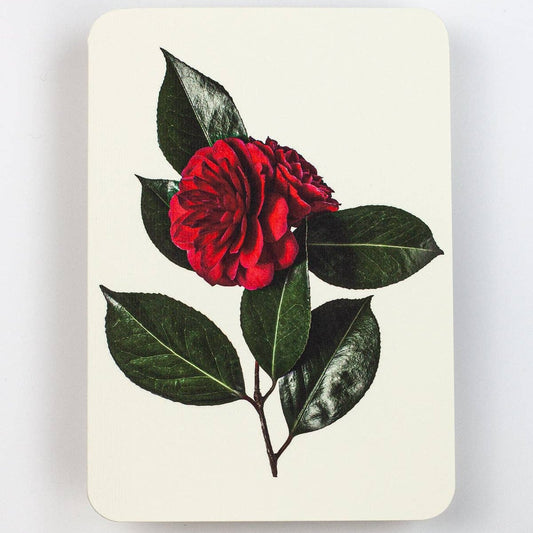 Camelia Flower Art Card