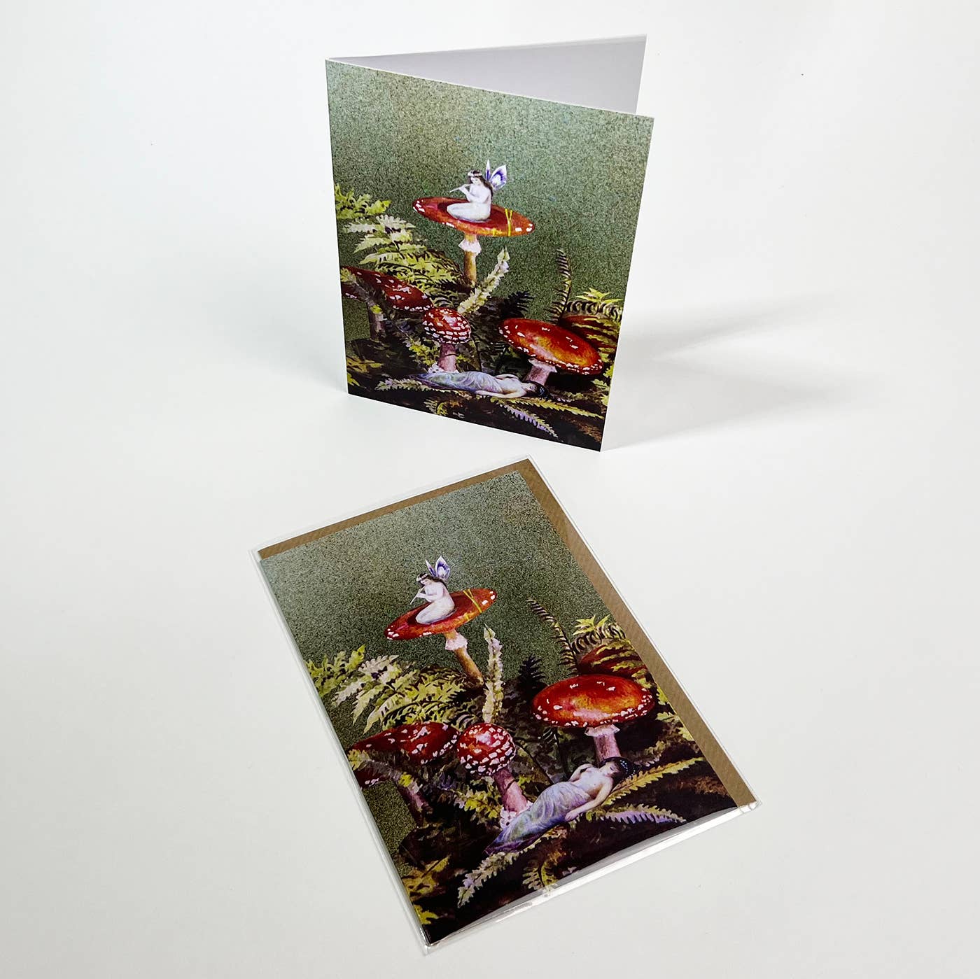 Toadstools Greetings Card