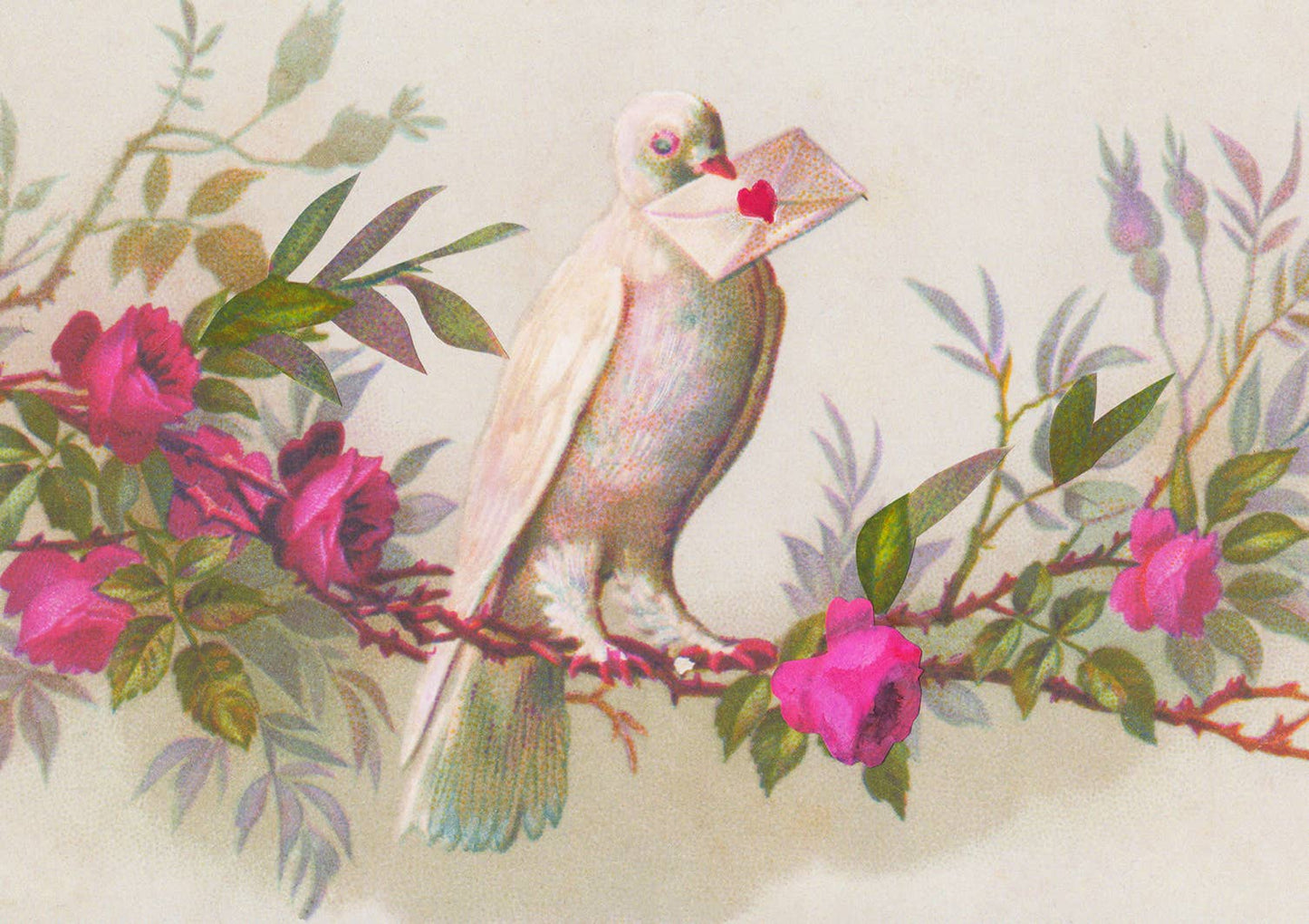 Love from a Dove Valentine's Day card